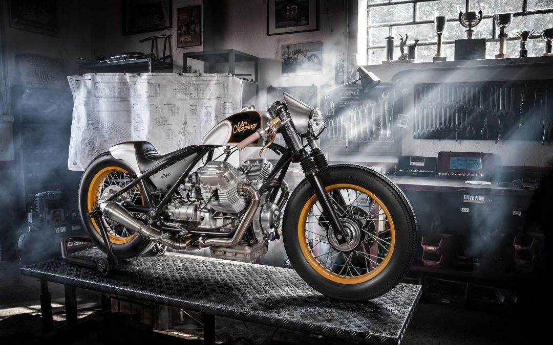 Motomorphosy